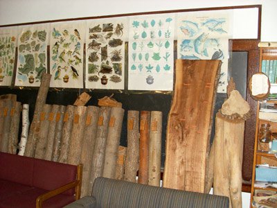 forestry ed center 3