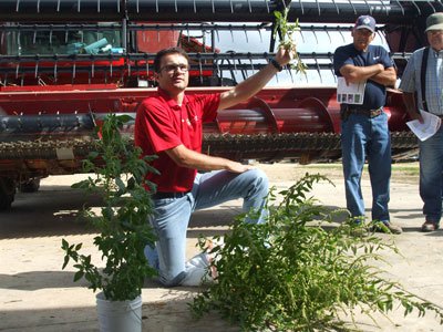 combine cleaning clinic