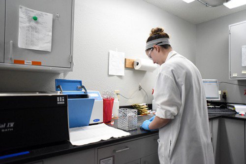 Lab director: More space, better service - Monroe Times