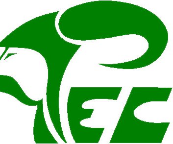 Pecatonica Vikings