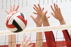 volleyball stock