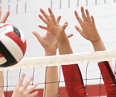 volleyball stock