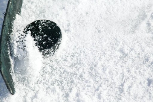 hockey puck