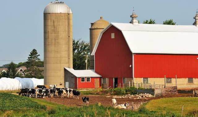 dairy meeting