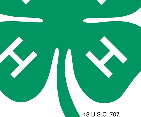 4-H logo 4h