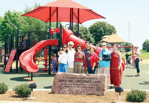 Badger Park playground equip color