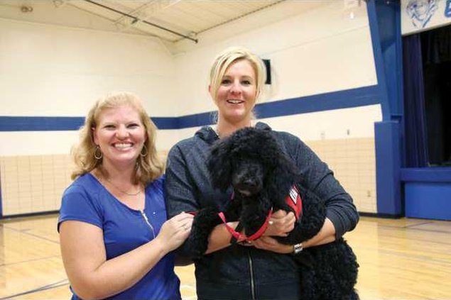 SW Service Pup 772 web