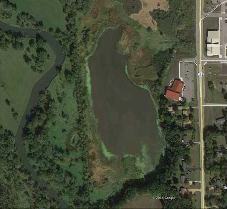 wetland pond