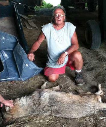 Jeff Drake with Wolf