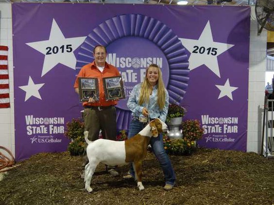 state fair goat