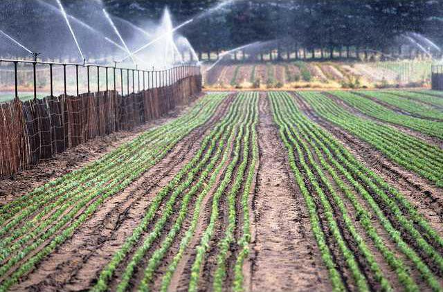 6588816847 bd9217f6a5 z