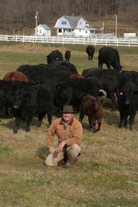 Rod Ofte w cattle