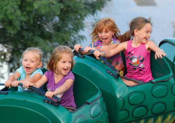 alligator rollercoaster