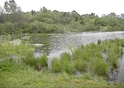 kickapoo wetland