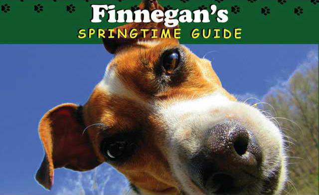 Finnegans Springtime Guide