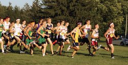 cross country stock