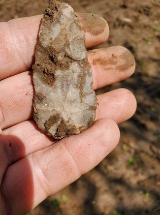 arrowhead