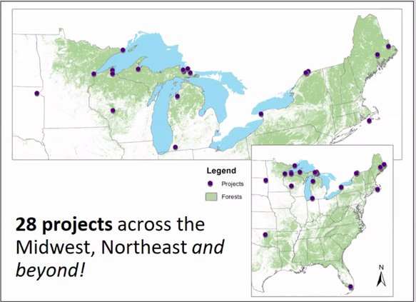 GLIFWC projects