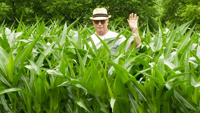 Shoulder high by the 4th of July