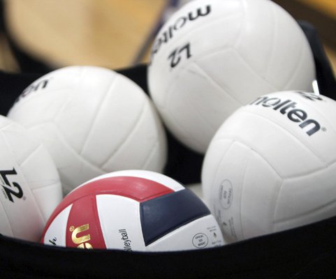volleyball stock