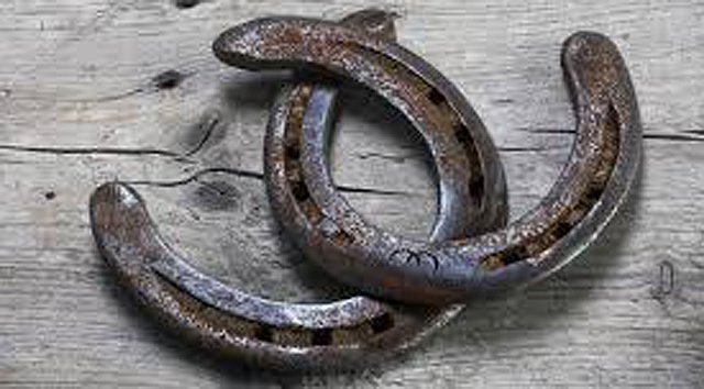 Horseshoes