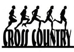 Cross Country stock