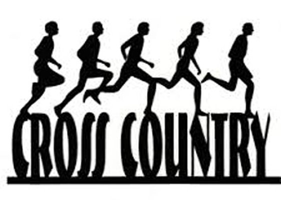 Cross Country stock
