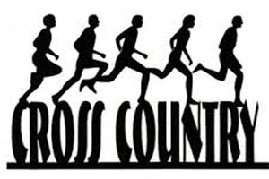 Cross Country stock
