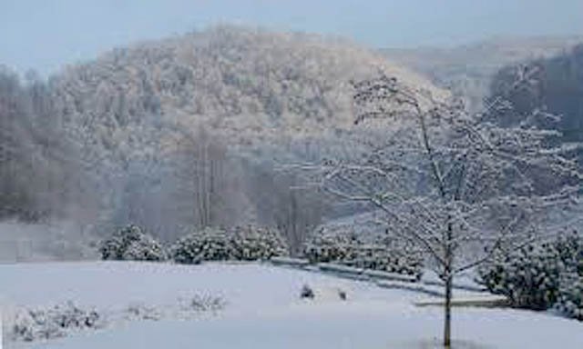News from Around the Area_Winter