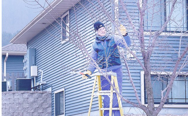 Cindy Kohles pruning trees