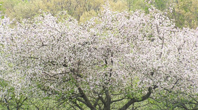 April 15: News from around the Driftless Area - Vimarsana News