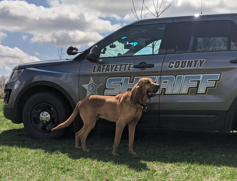 k9 chief