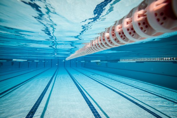 swim stock