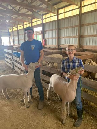 Warren-FFA-Fair-Photo