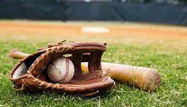 Baseball stock