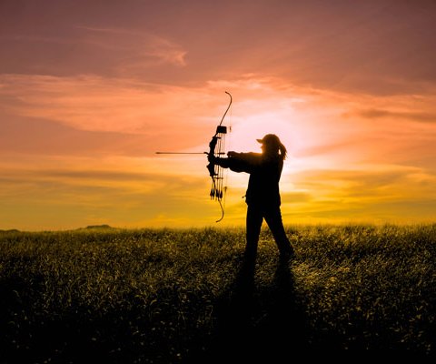 Archery_N1609P37003H