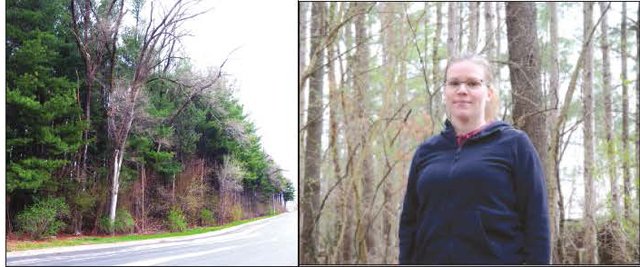 Wendi Stitzer and pine trees