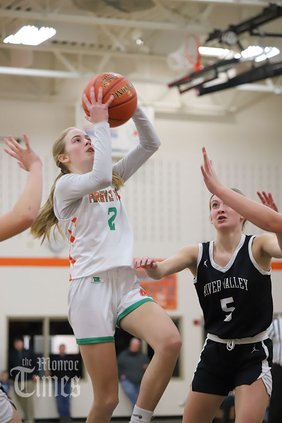 S011324_Avari-Steiner