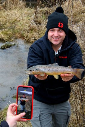 Brown Trout