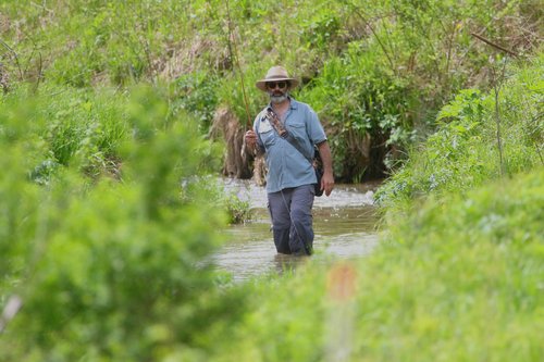 Trout fishing