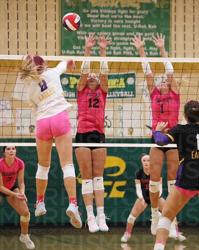 Vikings face adversity on and off the court Monroe Times