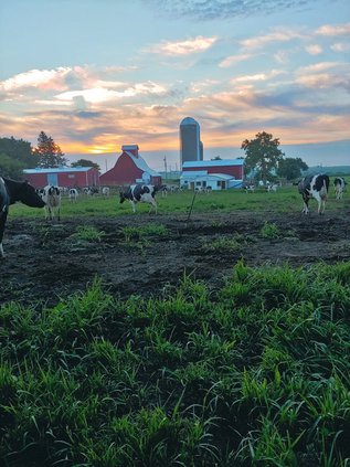 Heaven View Dairy
