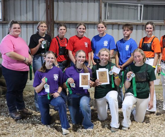 MS Qualifiers
