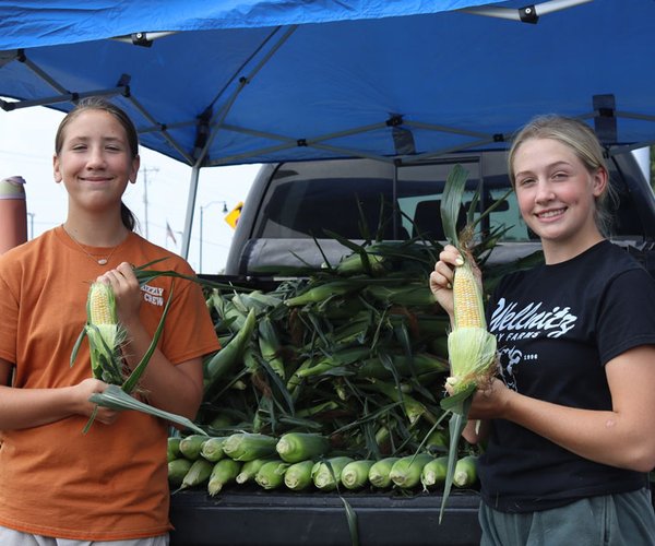 sweet corn for sale