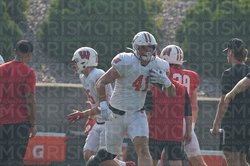 jt seagreaves badgers at uwp