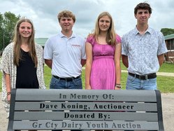 Dairy Auction