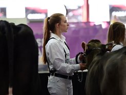 Dairy showing
