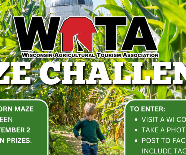 Corn Maze