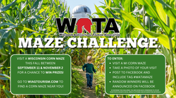 Corn Maze