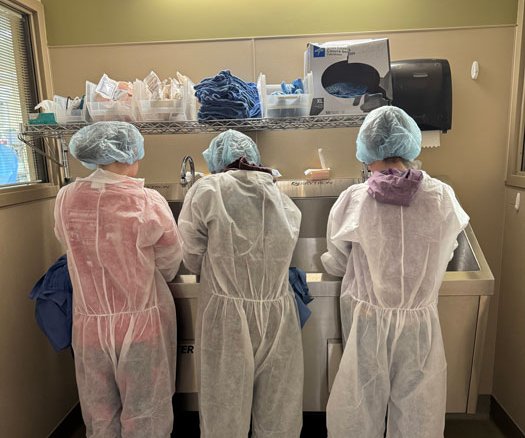 SSM Health Scrubs